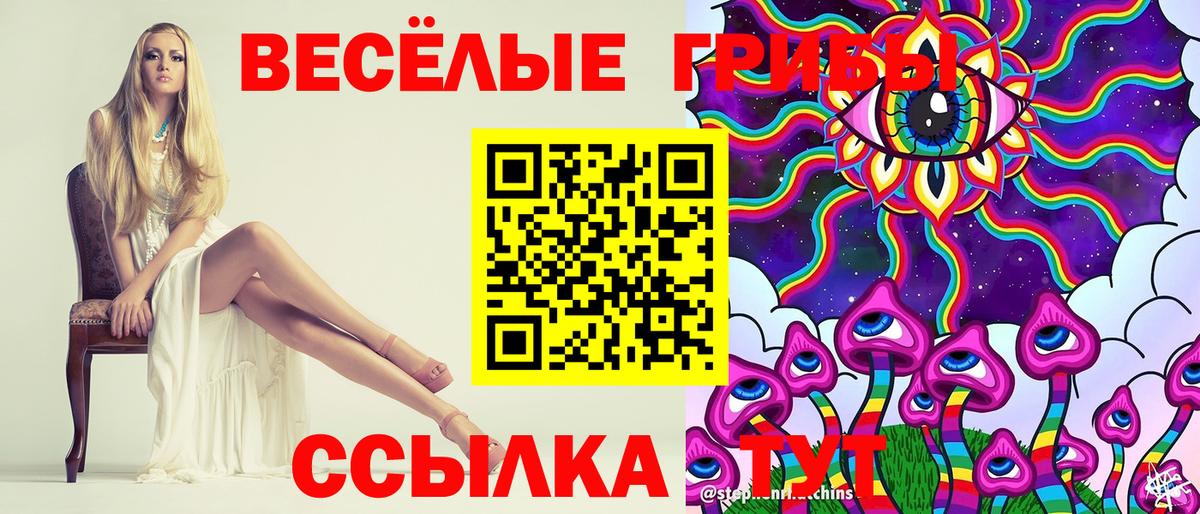 Галлюциногенные грибы Psilocybe  Вход с VPN  Дюртюли  Псилоцибиновые грибы мухоморы 
